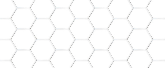 Poster - Abstract geometric hexagon white and gray color background. Computer digital drawing, background with hexagons, abstract background with lines, modern Abstract vector illustration. Poster, wallpaper.