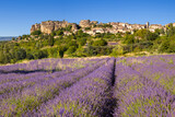 Fototapeta  - The village of Saignon in Provence with lavender field in summer. Vaucluse, France