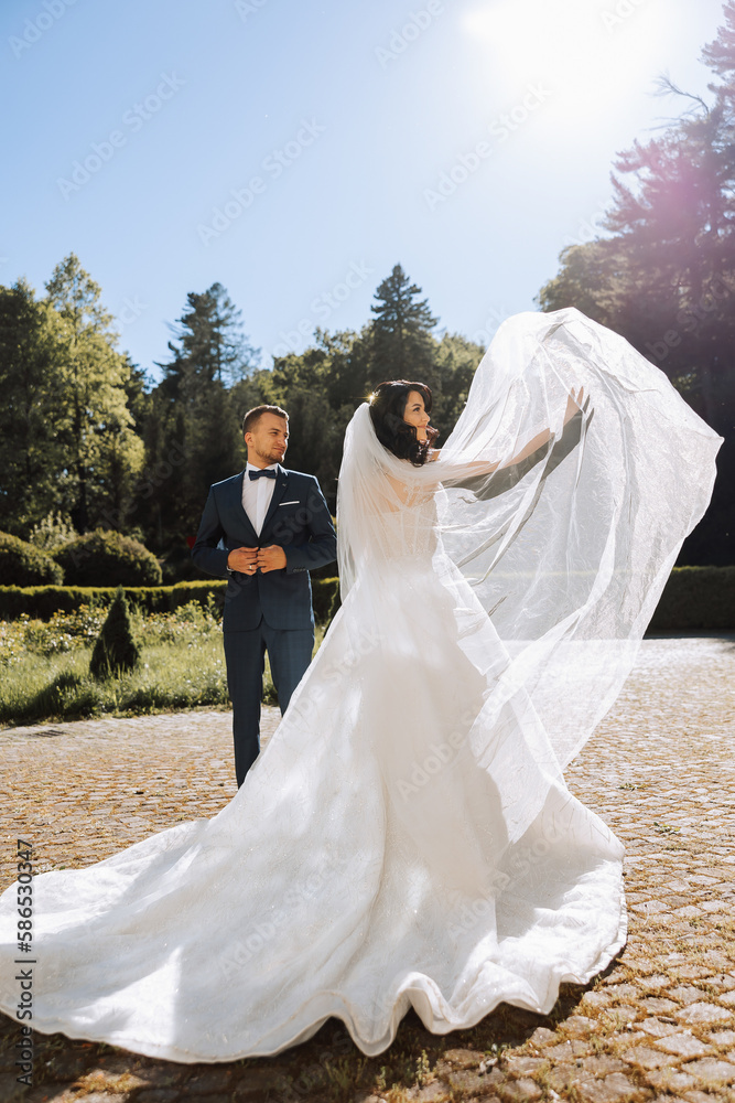 Bride and groom at sunset in green nature. Wedding couple in park. The ...