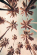 Retro toned palm trees with sky as copy space, AI Generated