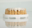 © JOE LORENZ DESIGN - Dental lower jaw ceramic zircon veneers on white background on model.