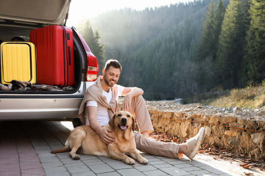 Wall Mural - Happy man and adorable dog sitting near car in mountains. Traveling with pet