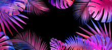 Frame Of Different Tropical Leaves In Neon Colors On Black Background, Banner Design. Space For Text