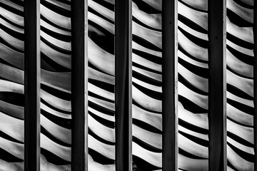 Poster - Abstract patterns monochrome background. High resolution black and white image