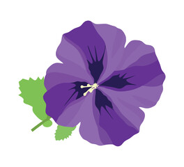 Sticker - Purple hibiscus blossom in tropical summer garden