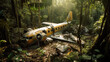 Airplane crash in the rainforest (created with Generative AI)