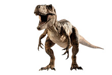 T-Rex Dinosaur Isolated On Transparent Background. Ai Generated.