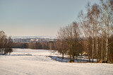 Fototapeta  - Winter;  snowy;  panorama of the town of Krasnystaw