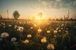  a field of dandelions with the sun setting in the distance behind them and the sun shining through the clouds in the distance,.  generative ai