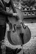 © Phil Cardamone - Bass player playing outdoors in a park