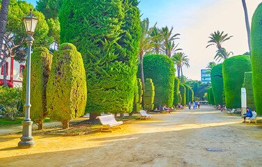 Sticker - The topiary park of Genoves, Cadiz, Spain