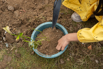 girl doing tree planting horizontal composition