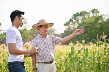 An Asian farmer walking and talking with a male supplier in a cornfield