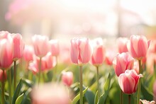 On A Background Of Lush Greenery, There Are Delicate Pink Tulips In A Garden. A Focused Soft Focus. Generative AI