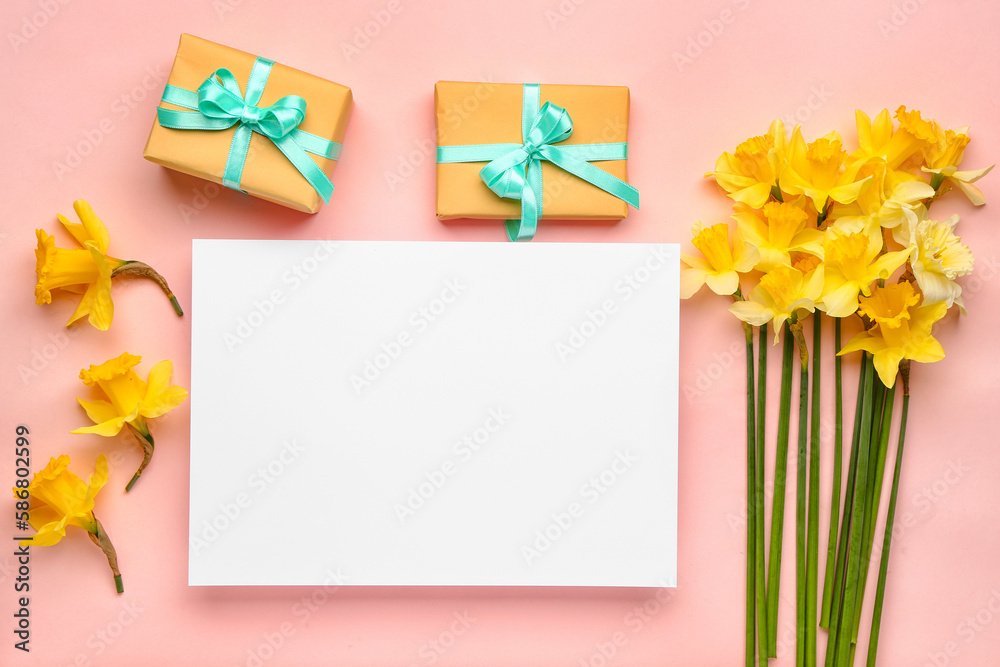 Beautiful narcissus, gift boxes and rectangular blank card on color background
