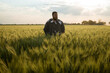 portrait of adult man standing in a wheat field at sunset