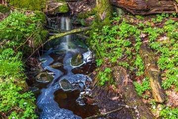 Wall Mural - Idyllic creek with running water