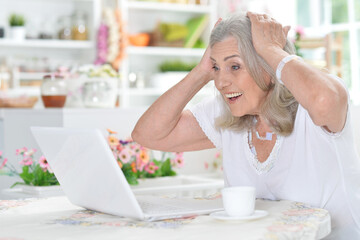 Sticker - old nice woman using laptop at home