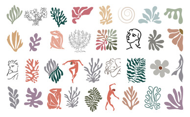 Wall Mural - Set of abstract organic shapes, exotic jungle leaves, female nude silhouettes, algae in trendy Matisse inspired style. Contemporary art vector illustration on transparent background. 