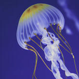 Kolorowa, świecąca meduza. Ilustracja wygenerowana przy pomocy AI.