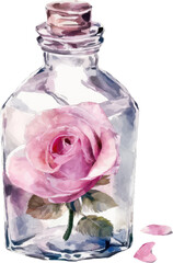  pink rose in glass bottle watercolor