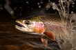 rainbow trout jumps out of the water generated by ai