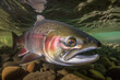 king salmon in the water of a clear stream generated by ai