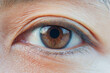 Macro asian woman brown eye with clear contact lens