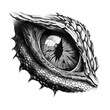 Dragon eye sketch, fierce and detailed image of mythical creature eye features a slit pupil, surrounded by scaly skin and scales. Hand drawn painting captures the intense look of a fiery reptile