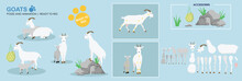 Mother Goat Vector With Baby Kid Goat Ready To Rig For Animation. Black Mountain Goat Collection, Multiple Poses, Cute Character.	
