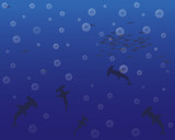 Fototapeta Kosmos - Vector landscape with silhouettes of the seabed with different types of fish and bubbles for background or banners.