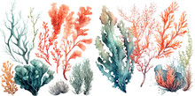 Set Of Vector Watercolor Seaweed And Corals Isolated On White. Sea Theme, Design Element, Decoration Of Water Entertainment Places, Parks, Beaches.