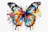 Fototapeta Motyle - butterfly on a white background