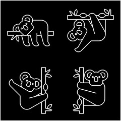 Poster - Koala Logo. Icon design. Template elements