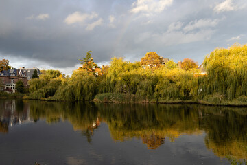 Wall Mural - Beautiful Pond at Vondelpark with Colorful Trees and Reflections during Autumn in Amsterdam South