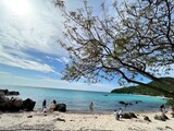 Fototapeta Do akwarium - beach with trees