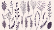 Spring lavender branch rustic herbs collection Generative Ai