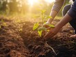 Person, die Bäume pflanzt oder in einem Gemeinschaftsgarten arbeitet, um die lokale Nahrungsmittelproduktion und die Wiederherstellung von Lebensräumen zu fördern, Konzept , created with Generative AI