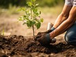 Person, die Bäume pflanzt oder in einem Gemeinschaftsgarten arbeitet, um die lokale Nahrungsmittelproduktion und die Wiederherstellung von Lebensräumen zu fördern, Konzept , created with Generative AI