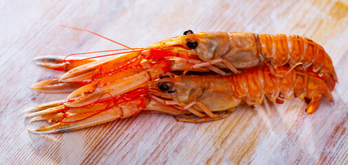 Wall Mural - Raw seafood, fresh Langoustine on wooden board