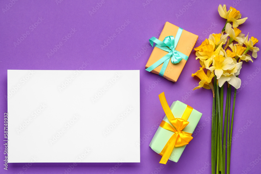 Beautiful narcissus, gift boxes and rectangular blank card on color background
