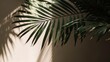 © Catrat - A palm leaf is casting a shadow on a wall. Generative AI