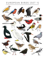 European Birds Set Cartoon Vector Character 1