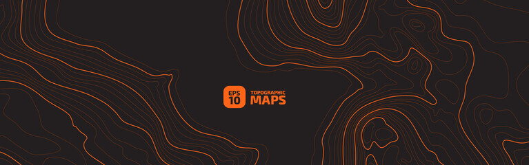 Wall Mural - the stylized height of the topographic map contour in lines and contours. the concept of a condition