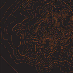 Wall Mural - The stylized height of the topographic map contour in lines and contours. The concept of a conditional geography scheme and the terrain path. Orange on black. 1x1 size. Vector illustration.