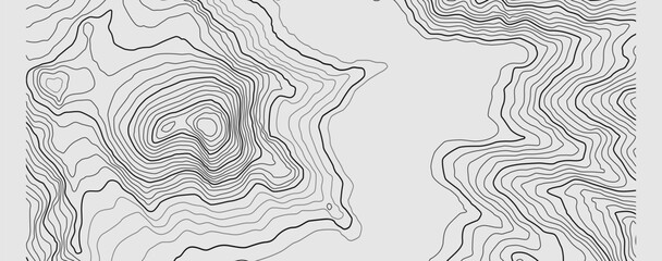 Wall Mural - the stylized height of the topographic contour in lines and contours. the concept of a conditional g