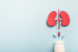 Human kidneys decorative model with pills on light blue background. Chronic kidney disease, kidney stones, Nephrology concept. Top view, copy space