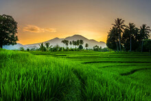 Panorama Of Indonesian Natural Mountains In The Morning