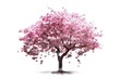 Spring Sakura tree isolated on a white background. Generative AI