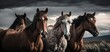 Shot on the Italian island of Sardinia, the four brown horses gallop beneath a foggy sky. Generative AI